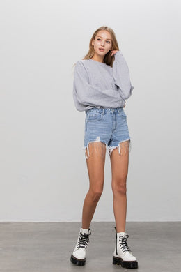 Light Wash Denim Rhinestone Premium Denim Shorts-Plus Size Dream Girl